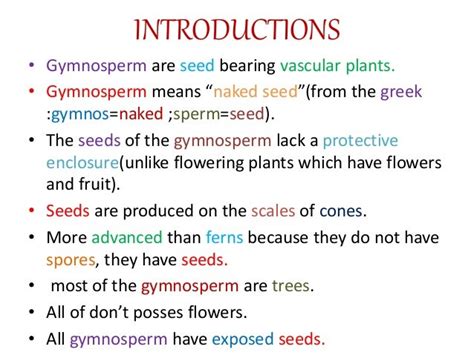 Classification of gymnosperm by chamberlain