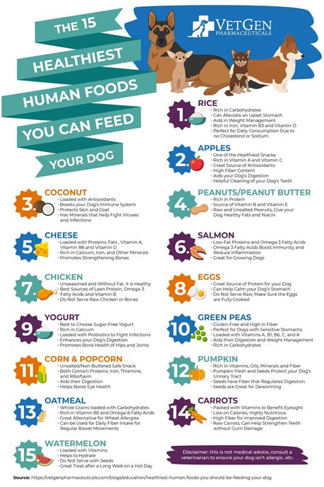 Here’s What The Healthiest Human Foods Are For Your Dog | Daily ...