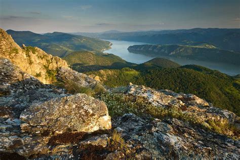 Wild Romania: A documentary dedicated to Romania's wildlife