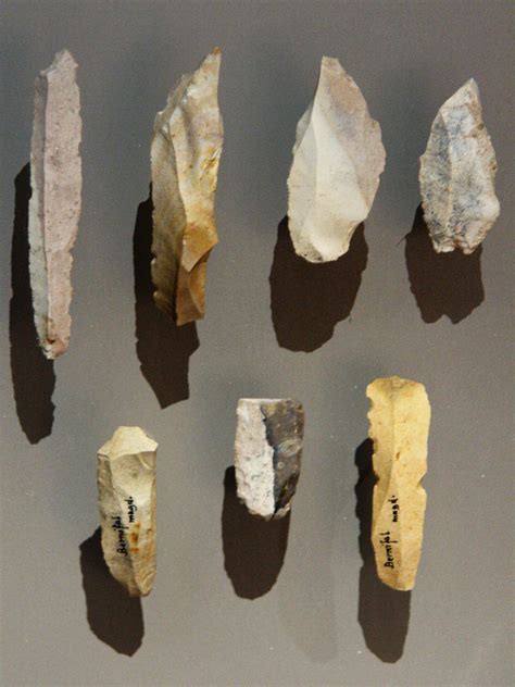 🐈 Paleolithic tools. What are the tools and weapons in Palaeolithic Age?. 2022-10-28