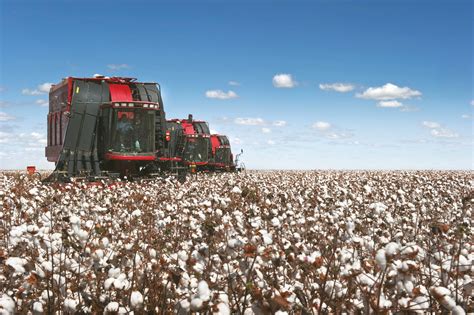 CNH Industrial brands deliver over 360 units to Uzbekistan to support cotton harvest – Wheels ...