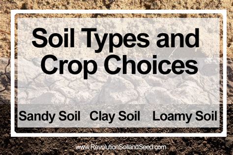 Soil Types and High-Yield Agriculture – Revolution Soil and Seed