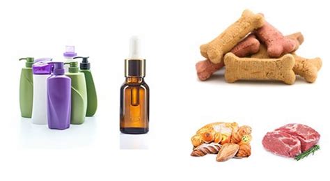 China Organic Vitamin B8 Manufacturers Factory - Wholesale Service ...