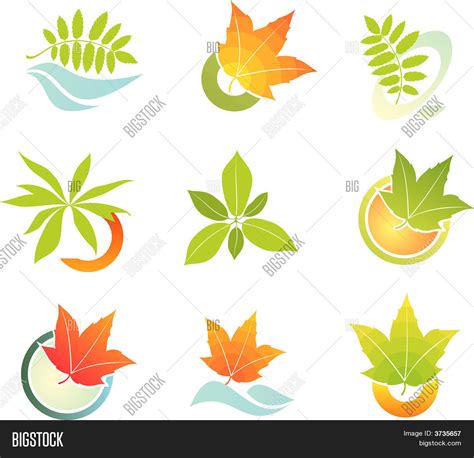 Vector Set Design Vector & Photo (Free Trial) | Bigstock