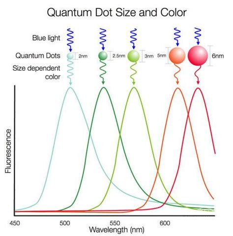 What Is Quantum Dot Display?