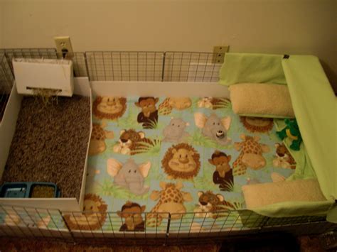 How to Build a C&C Guinea Pig Cage: DIY Guide - PetHelpful