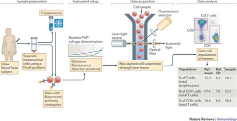 Highlights of R-based Flow Cytometry Tools and FlowCAP