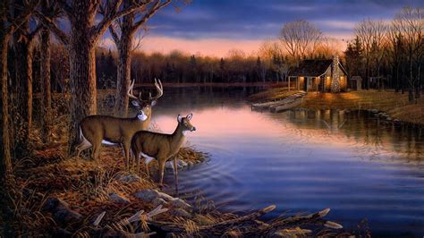 43+ Whitetail Deer Wallpaper Screensaver