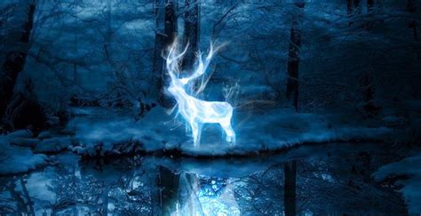 What's Your 'Harry Potter' Patronus? - Heads Up by Scout Life