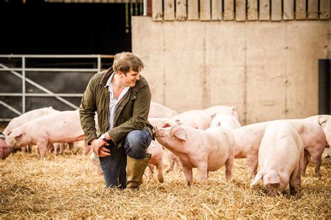 What the pig farmer wishes you knew | farming | food