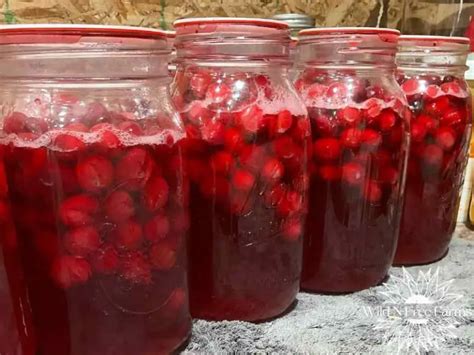 Canning Homemade Cranberry Juice: A Holiday Tradition To Savor