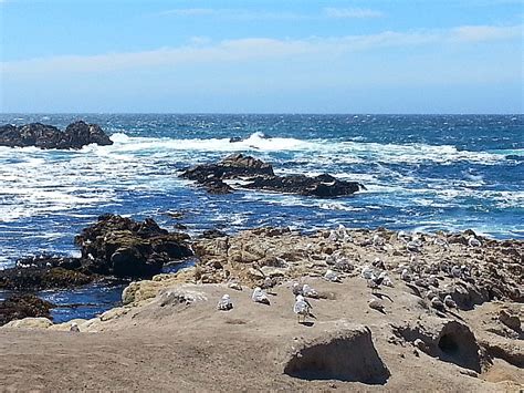 17 Mile Drive - Pebble Beach, California - Valerie Was Here