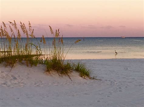 Gulfport, Mississippi | Beach pictures, Beach, Favorite places