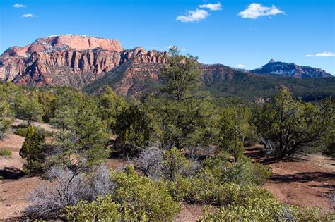 Hiking Shenandoah: Kolob Arch