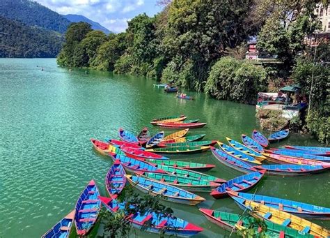 Phewa Lake | Pokhara - What to Expect | Timings | Tips - Trip Ideas by MakeMyTrip