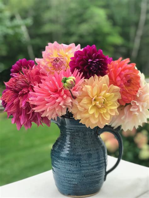 Dahlias | Dahlia, Beauty, Decor