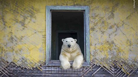 Wildlife Photographer of The Year 2023 - MILAN Welcome City Guide