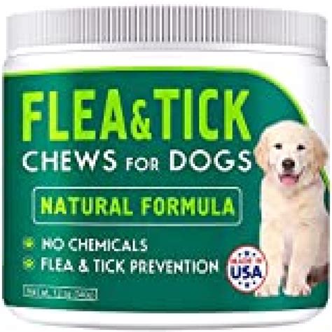 Natural Tick And Flea Prevention For Dogs