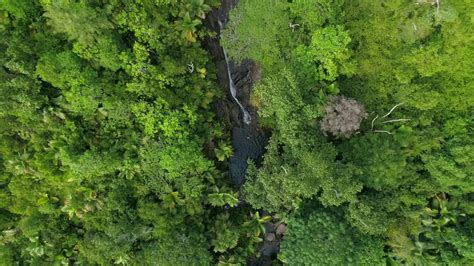 Waterfall in Seychelles - Port Launay - YouTube