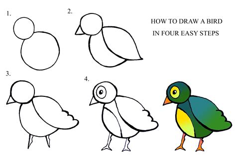 DARYL HOBSON ARTWORK: How To Draw A Bird step by step