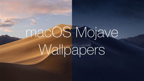 Download the New macOS Mojave Wallpapers [Light and Dark]