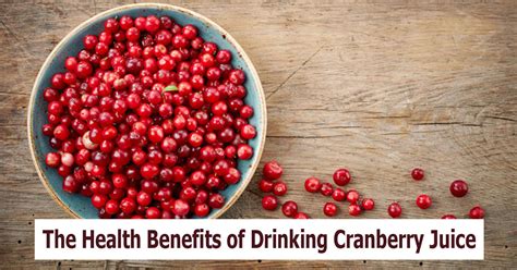 Cranberry Juice Health Benefits – Traverse Bay Farms