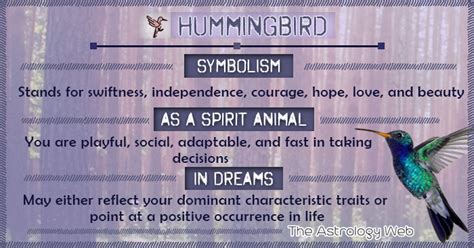 Hummingbird Meaning and Symbolism | The Astrology Web in 2020 ...