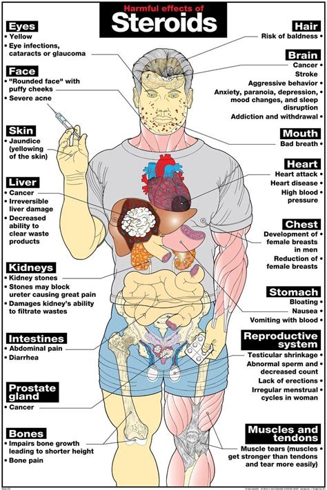 Harsh internal and external side effects from using steroids (HV ...