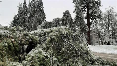 Ice storm leaves 270,000 without power in Oregon - Portland Business Journal