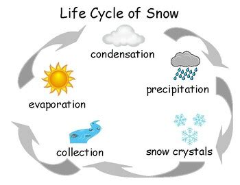 Life Cycle of Snow for dysgraphia learners. 4 versions. | TPT