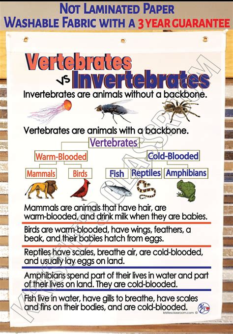 Vertebrates & Invertebrates Anchor Chart Printed on FABRIC Durable Flag Material. Washable ...