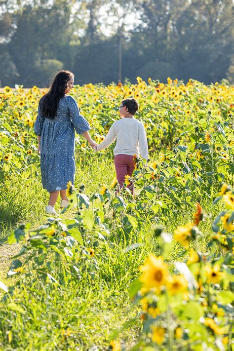 Baton Rouge's flower fields are a whimsical setting for a family ...