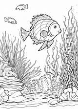 Premium Photo  Under The Sea Coloring Page Under Water Outline sketch template