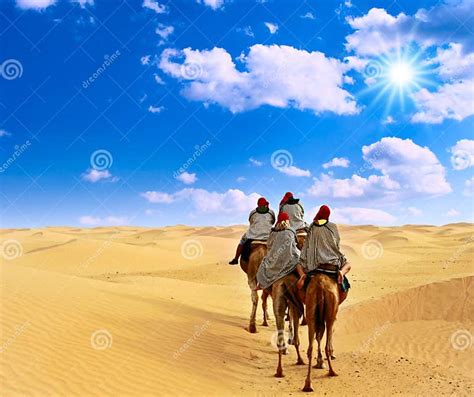 Camel caravan stock photo. Image of tourist, sunny, arabic - 16192704