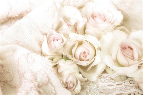 Pastel Roses Antique · Free photo on Pixabay
