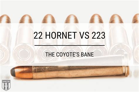 22 Hornet vs 223 Rifle Cartridge Comparison by Ammo.com