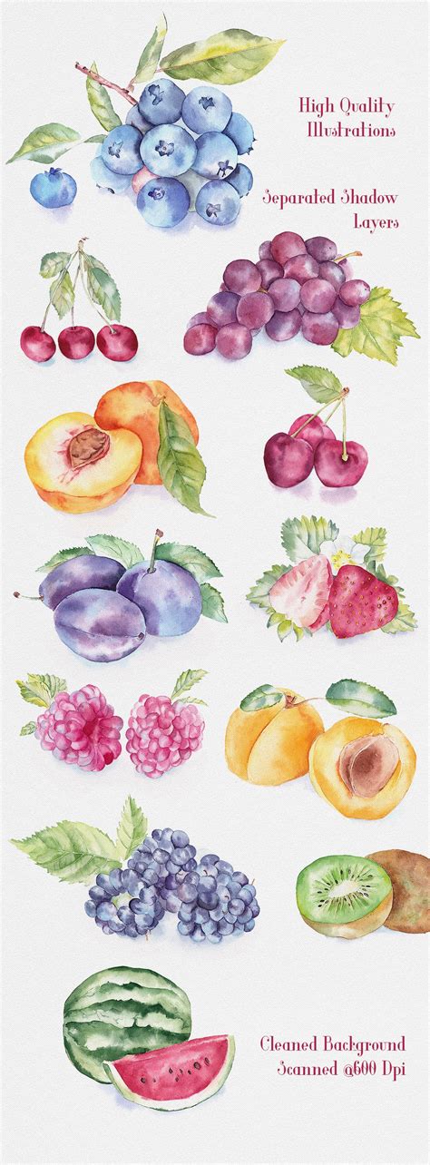 Fruit Watercolor Illustrations | Fruit painting, Watercolor art, Watercolor fruit