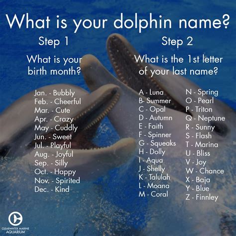 Cute Dolphin Names For Boys | PeepsBurgh.Com