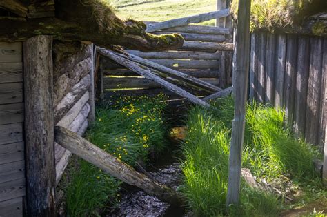 Viking Village, Iceland