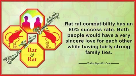 Rat Rat Partners For Life, In Love or Hate, Compatibility and Sex ...