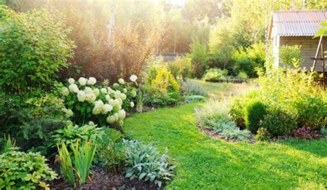 Natural Landscape Front Yard: All you Need to Know