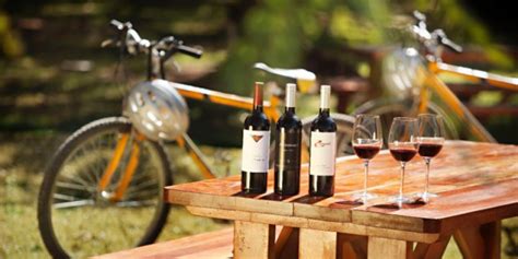 10 Breathtaking Bike Tours in Wine Country