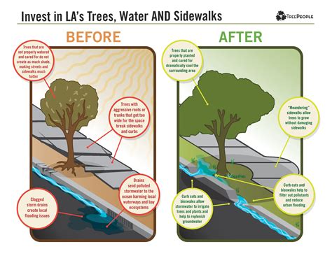 One Easy Step to Save LA Trees - TreePeople