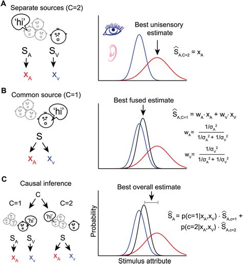 Bayesian models of multisensory integration. Schematic of different... | Download Scientific Diagram