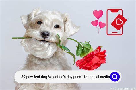 39 Paw-fect Dog Valentine’s Day Puns! (for Social Media) (2024) - OodleLife®