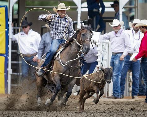 Caleb Smidt wins Calgary Stampede rodeo, beating out three former ...