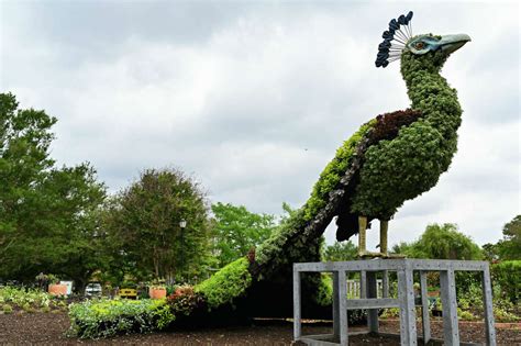 'Imaginary Worlds' open at San Antonio Botanical Garden