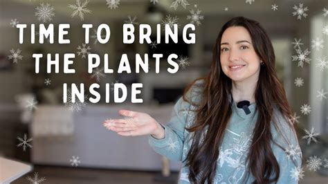 Moving Plants Back Inside for Winter | 2 Day Long Weekend Vlog 🪴 - YouTube