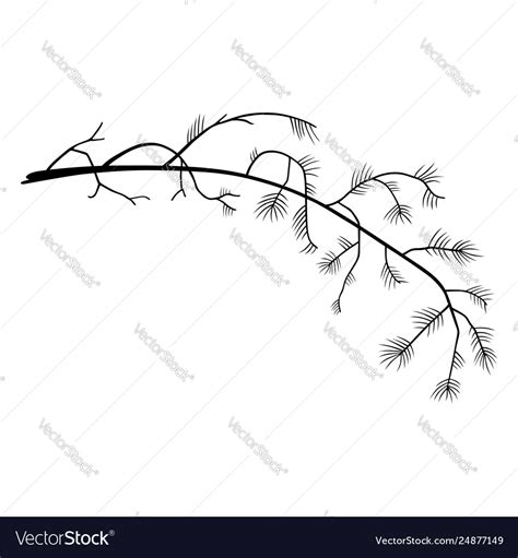 Branch Royalty Free Vector Image - VectorStock