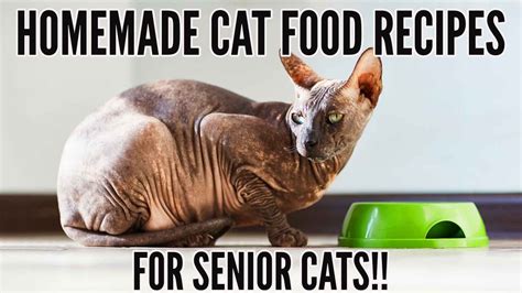 Homemade Cat Food Recipes For Senior Cats | Kitty County